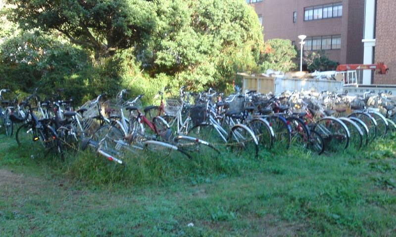 筑波大学　自転車1