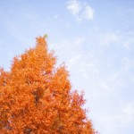 『秋学期が始まる前に何をすればいいかわからない』という筑波大生がやっておくといいことトップ3を紹介！！