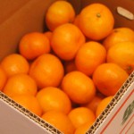 筑波大学生の親元からの仕送り「みかんボックス」を腐らせずに食べる方法
