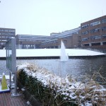 降り注ぐ雪と中央図書館