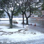 2A棟前の雪だるま