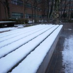 雪が積もるウラ椅子