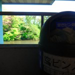 1A棟から顔を出す松美池