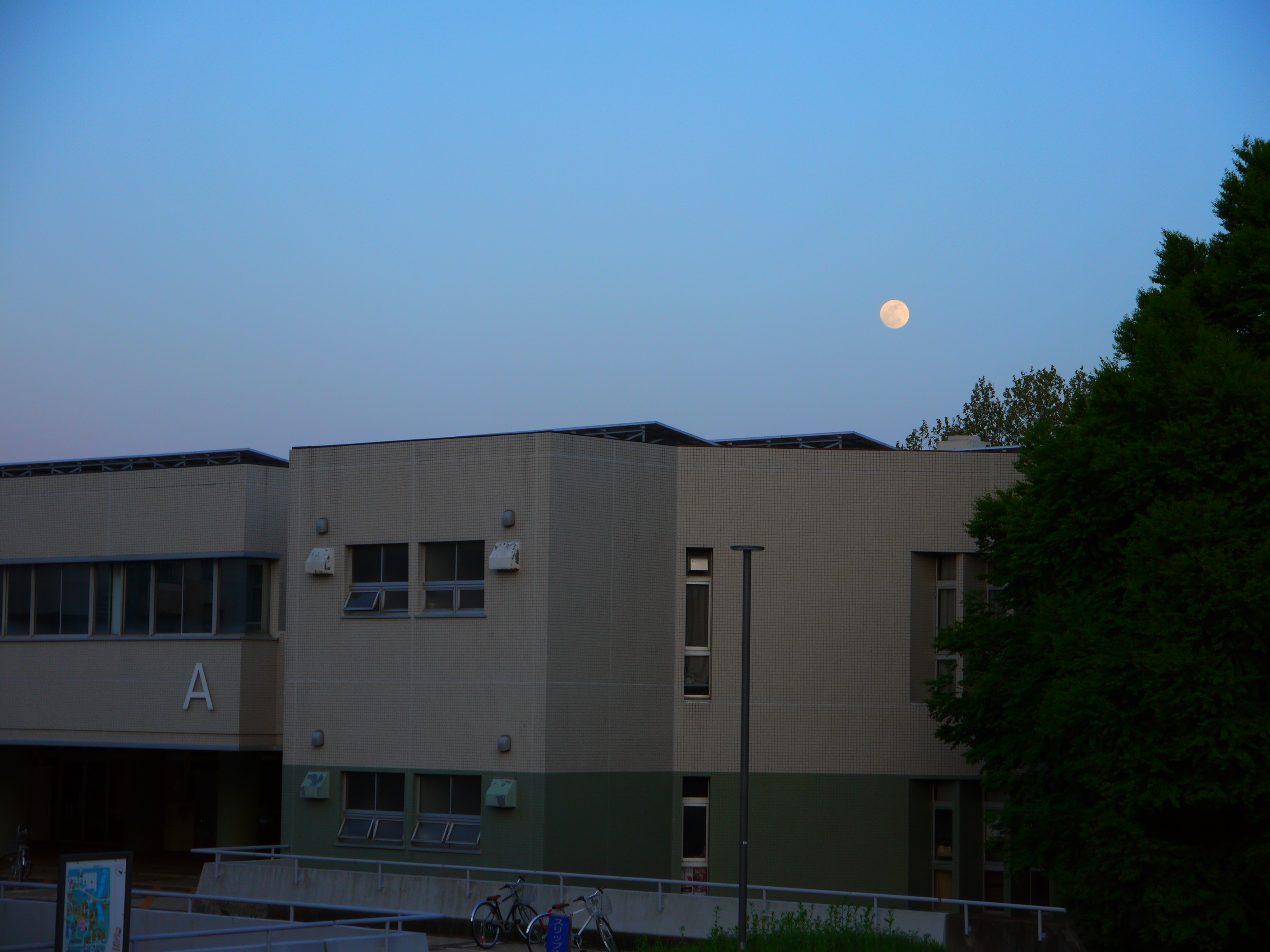 1A棟からみえる夕方の月