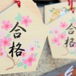 筑波大学国際総合学類（一般入試）合格体験記!高１のオープンキャンパスで一目ぼれしてからの２年半！