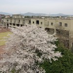 [筑波大学の施設紹介]様々なイベントが行われる筑波大学の大学会館がどんなところか簡単に紹介してみた！