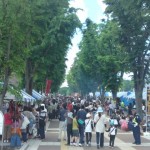 「科学×グローバル×祭り」 !?いよいよ今週末開催！つくばフェスティバルに行こう！
