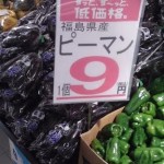 [筑波大生必見]カスミやまるもより安いスーパーが誕生！？つくば市初出店の「トライアル」に実際に行って比べてみた！！