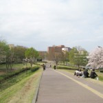 筑波大学生が使うと便利な道、ペデストリアンを避けてみる